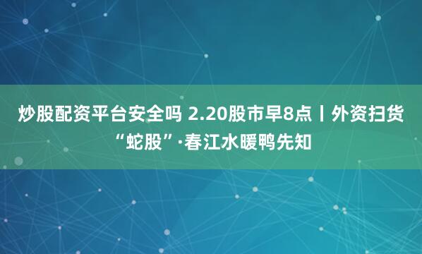 炒股配资平台安全吗 2.20股市早8点丨外资扫货“蛇股”·春江水暖鸭先知
