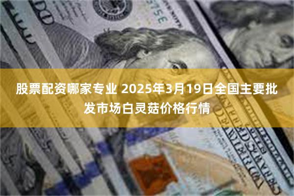 股票配资哪家专业 2025年3月19日全国主要批发市场白灵菇价格行情