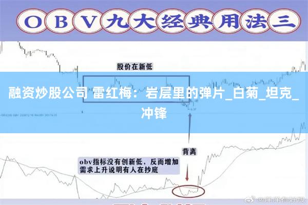 融资炒股公司 雷红梅：岩层里的弹片_白菊_坦克_冲锋