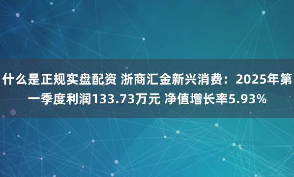 什么是正规实盘配资 浙商汇金新兴消费：2025年第一季度利润133.73万元 净值增长率5.93%