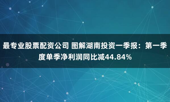 最专业股票配资公司 图解湖南投资一季报：第一季度单季净利润同比减44.84%