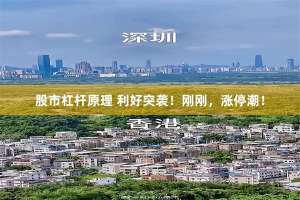 股市杠杆原理 利好突袭！刚刚，涨停潮！