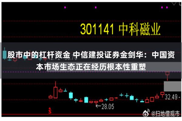 股市中的杠杆资金 中信建投证券金剑华：中国资本市场生态正在经历根本性重塑