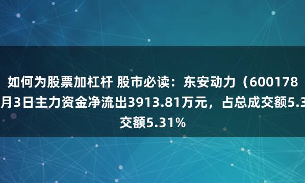 如何为股票加杠杆 股市必读：东安动力（600178）7月3日主力资金净流出3913.81万元，占总成交额5.31%